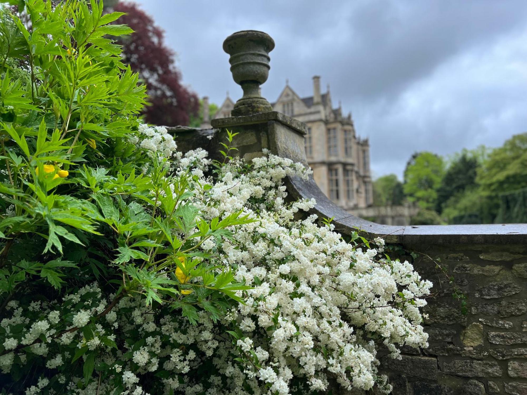 The Hall - Historic Grade I-Listed Jacobean Mansion Bradford-On-Avon Exterior photo