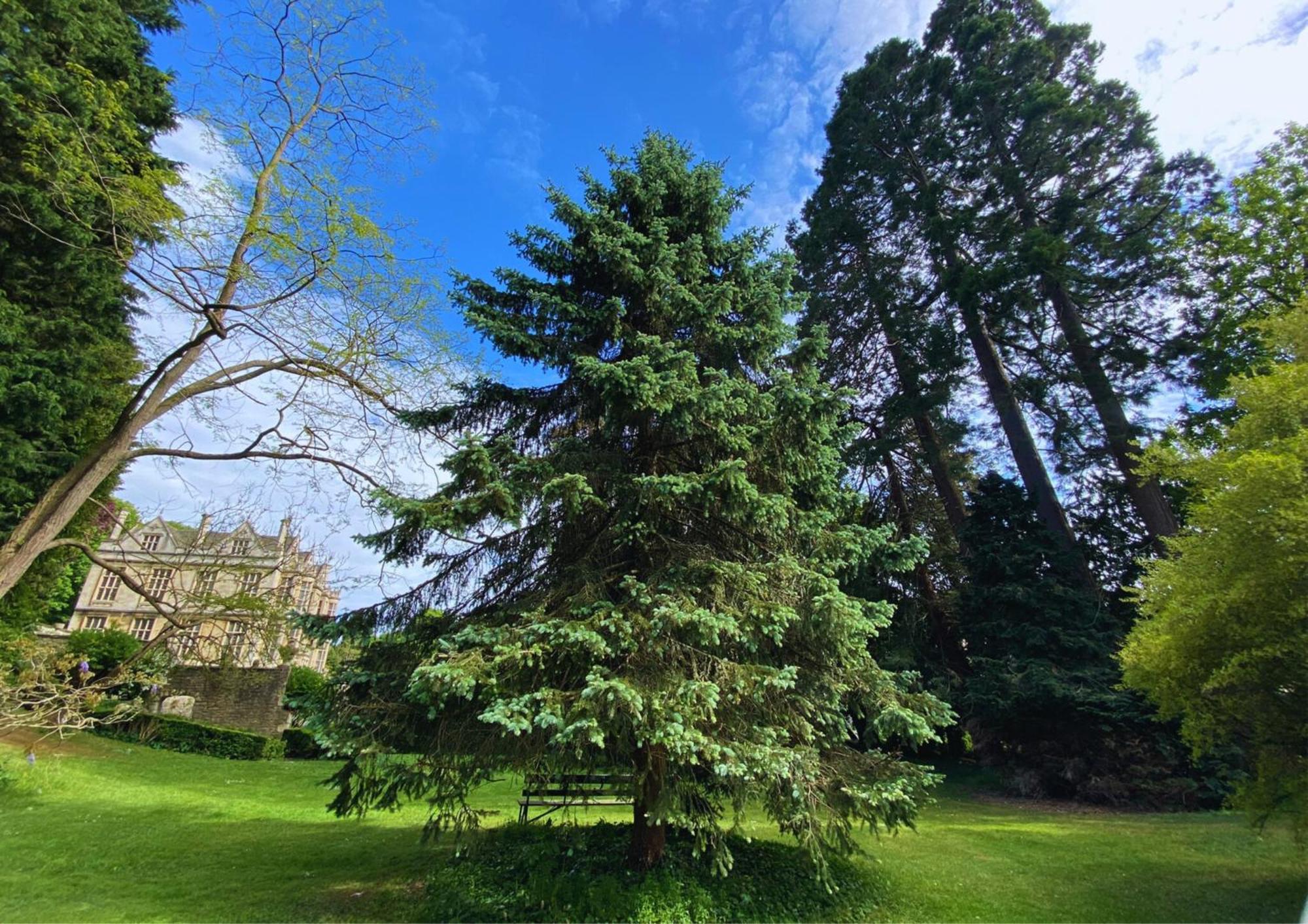 The Hall - Historic Grade I-Listed Jacobean Mansion Bradford-On-Avon Exterior photo